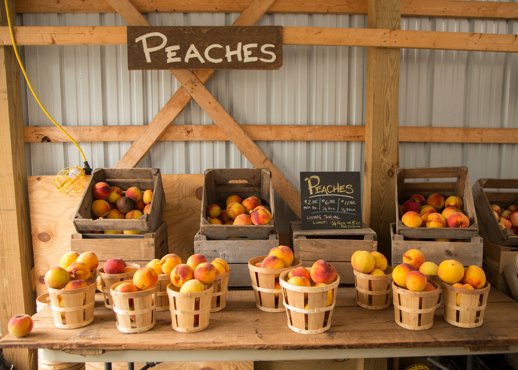 Peaches at the Farm Stand