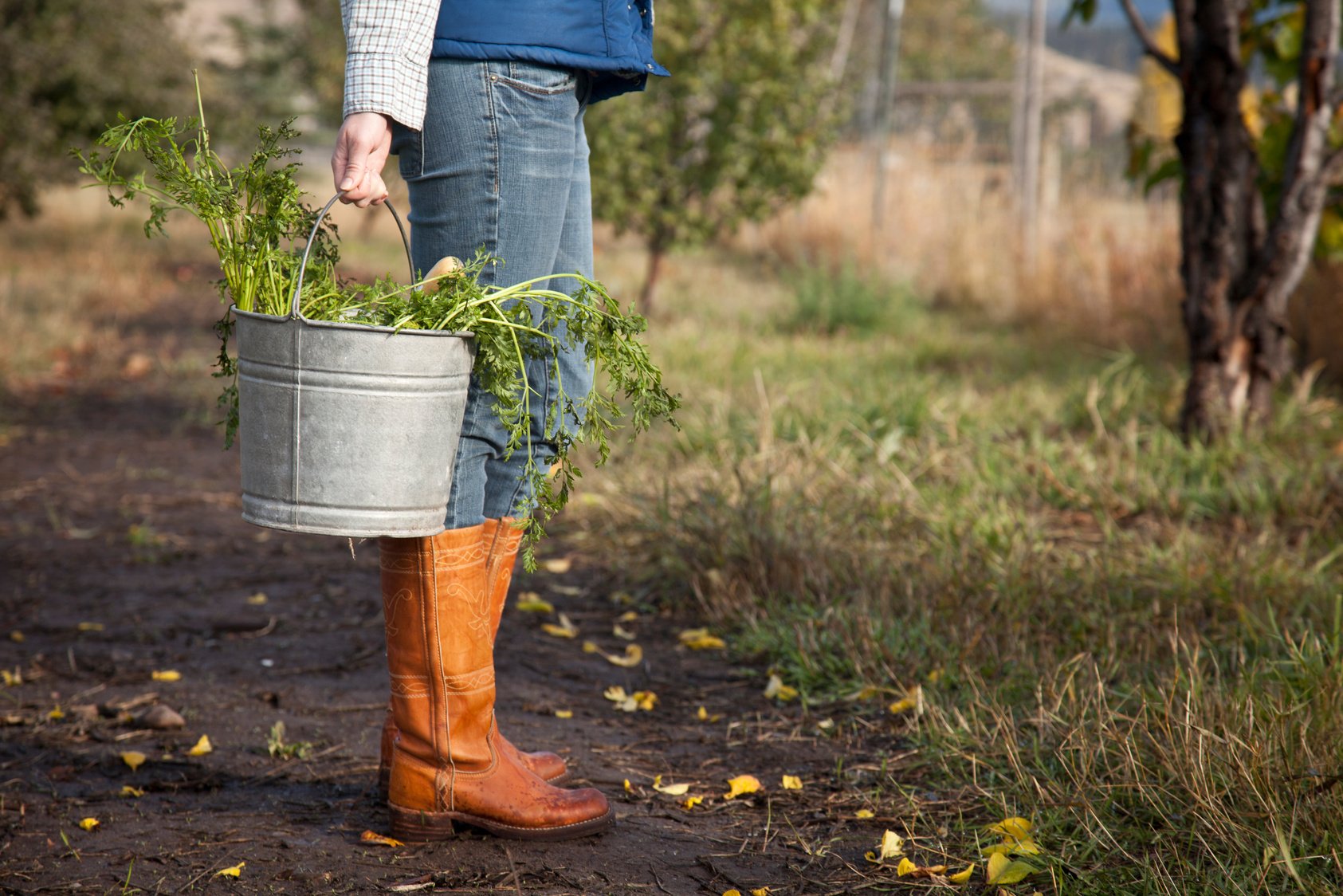 Farming boots